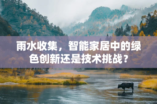 雨水收集，智能家居中的绿色创新还是技术挑战？