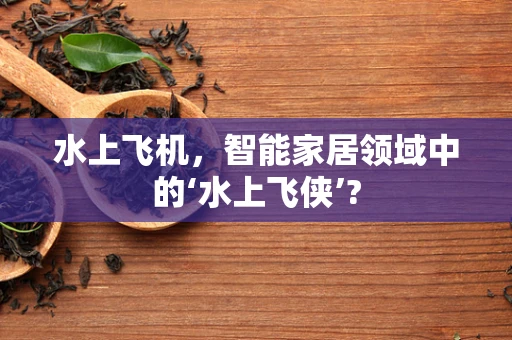 水上飞机，智能家居领域中的‘水上飞侠’?