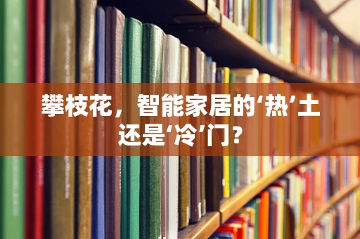 攀枝花，智能家居的‘热’土还是‘冷’门？