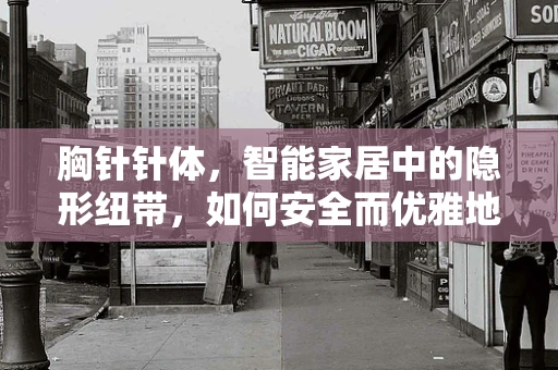 胸针针体，智能家居中的隐形纽带，如何安全而优雅地融入生活？