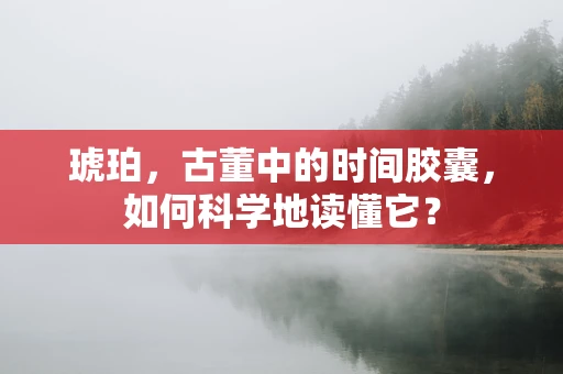 琥珀，古董中的时间胶囊，如何科学地读懂它？