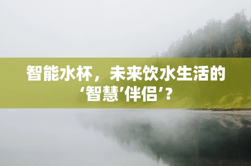 智能水杯，未来饮水生活的‘智慧’伴侣’？