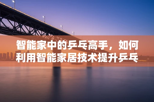 智能家中的乒乓高手，如何利用智能家居技术提升乒乓球训练体验？