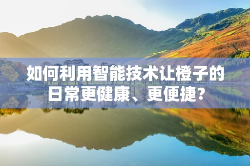 如何利用智能技术让橙子的日常更健康、更便捷？