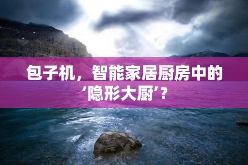 包子机，智能家居厨房中的‘隐形大厨’？