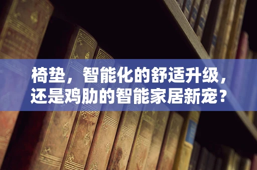 椅垫，智能化的舒适升级，还是鸡肋的智能家居新宠？