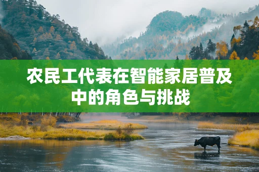 农民工代表在智能家居普及中的角色与挑战