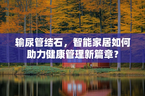 输尿管结石，智能家居如何助力健康管理新篇章？